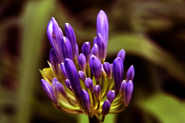 都是球队的 都是球队的