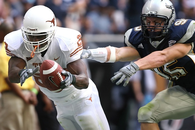 將決定他們 將決定他們