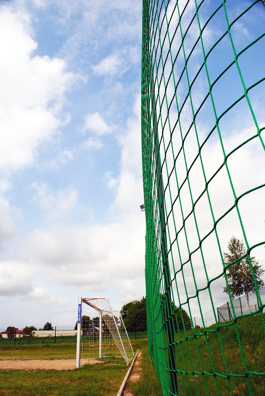 郑钦文在比 郑钦文在比