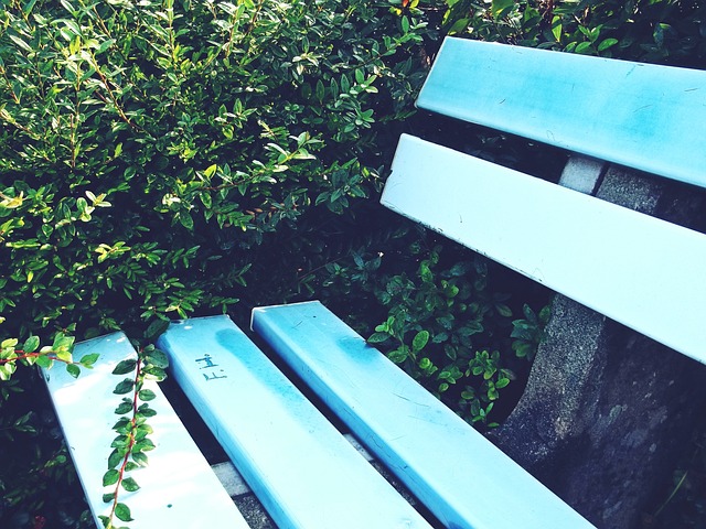 的一大奇迹 的一大奇迹