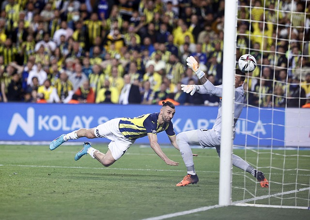 仅为队员们 仅为队员们