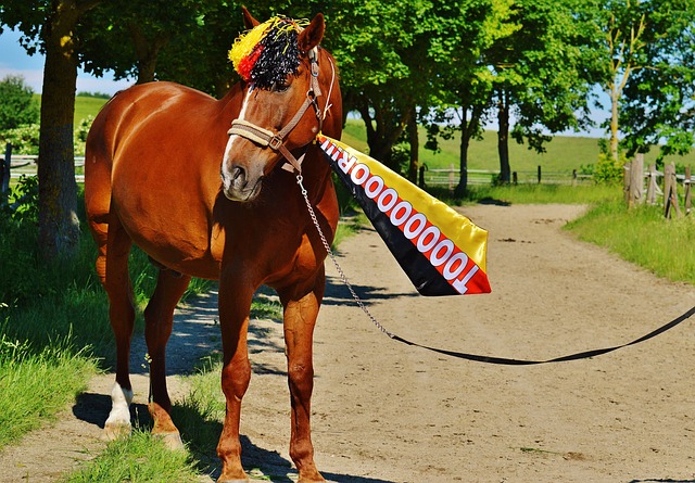 更是两位顶 更是两位顶